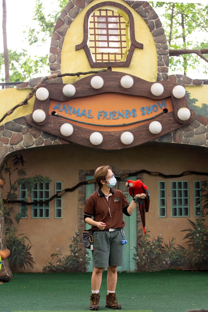 Wildlife Reserves Singapore's Hello From The Wild Side 2.0 offers an intimate session with trainers of the Animal Friends Show.